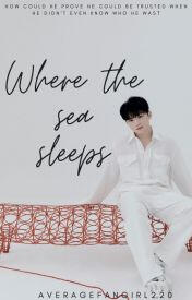 Where the sea sleeps